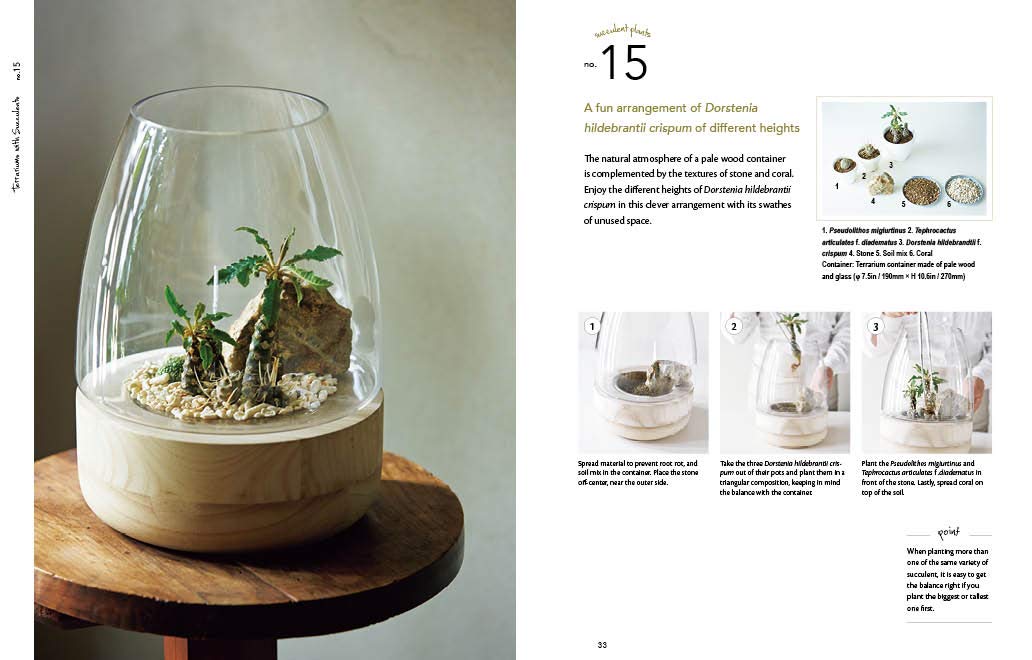 Decorative Terrariums: 47 Beautiful Ideas Created with Succulent, Air Plants, Moss and Orchid