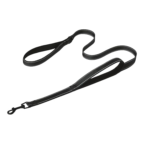 Amazon Basics Dog Leash, 4ft with 2 Comfortable Dual Padded
