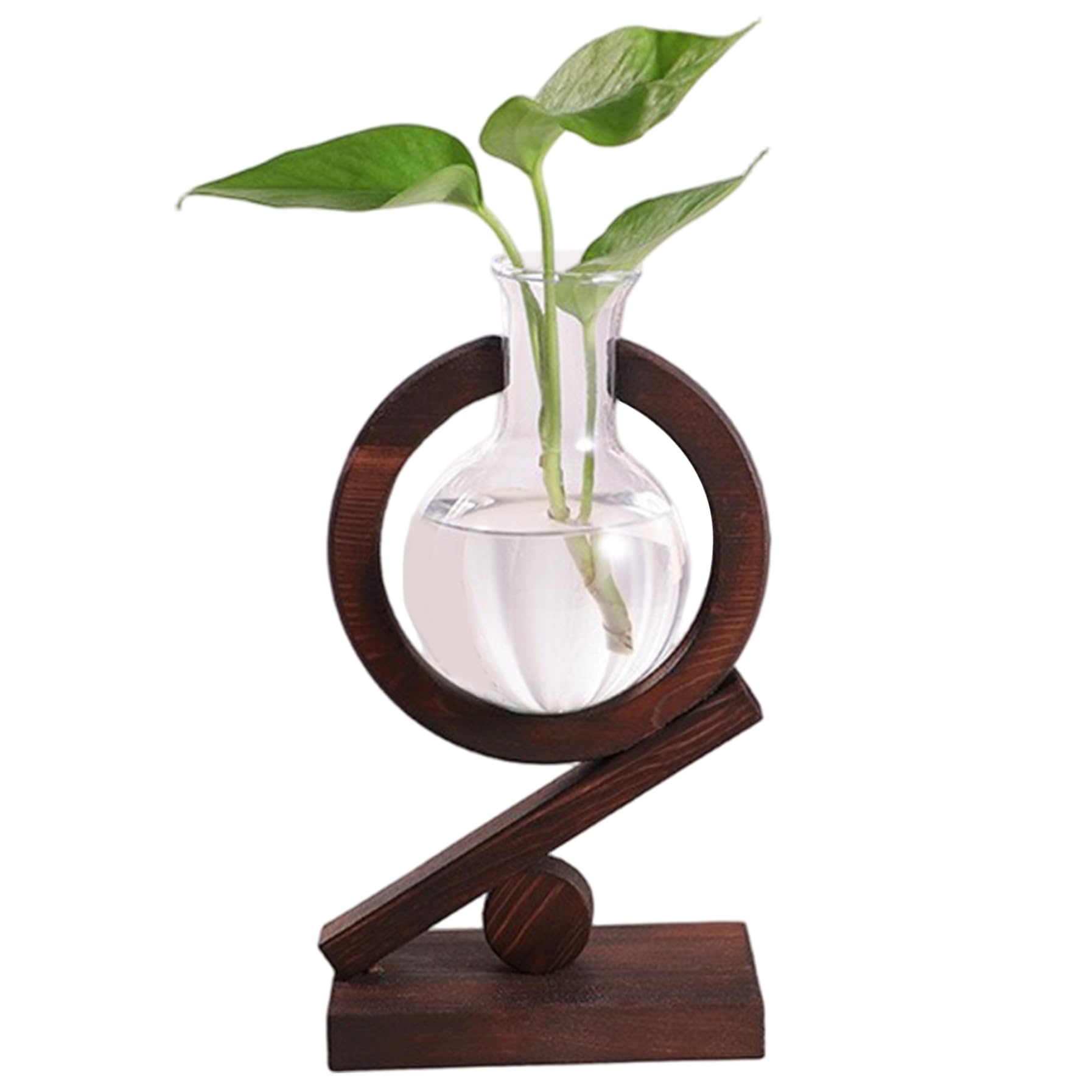 Station de propagation des plantes pour décor bureau boho et intérieur serein