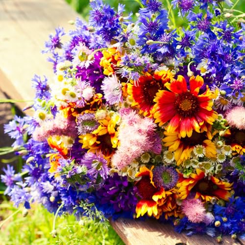 Premium Wildflower Seeds - Annual & Perennial Mix | Non-GMO - 15+ Open-Pollinated Var...