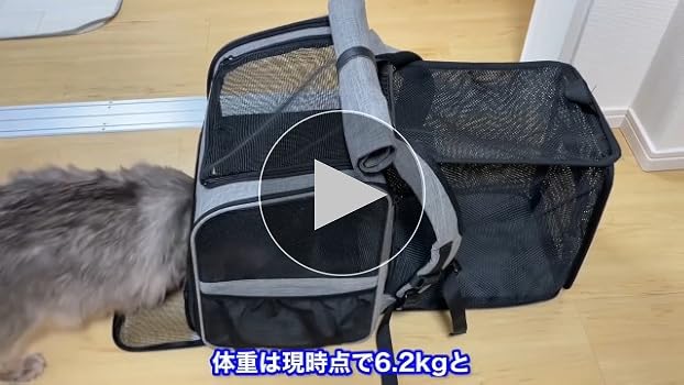 ?ペット バッグ ペット用キャリーバッグ 犬猫兼用Pc 楽天市場】＼マラソン限定Point10倍／ 送料無料 犬猫兼用3way