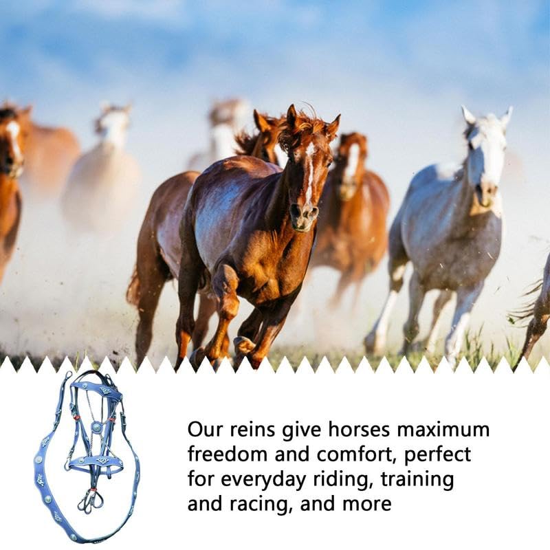 Licol pour chevaux en cuir PU et bouclerie métal premium