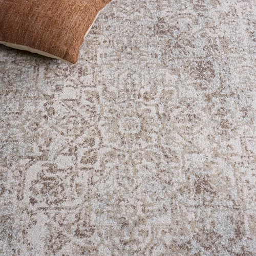 image for SAFAVIEH Evoke Collection Accent Rug - 2'2