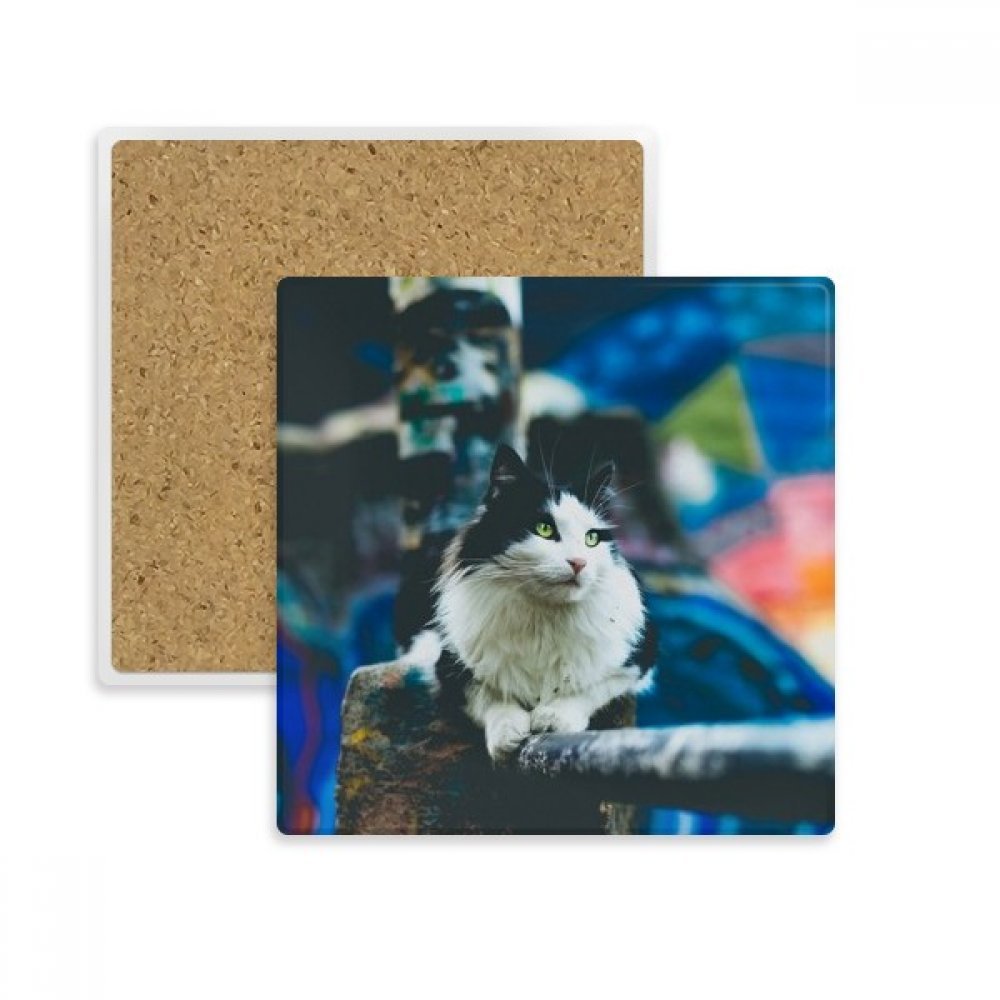 Dessous de verre chat carré en pierre absorbante pour tasses et mugs x2