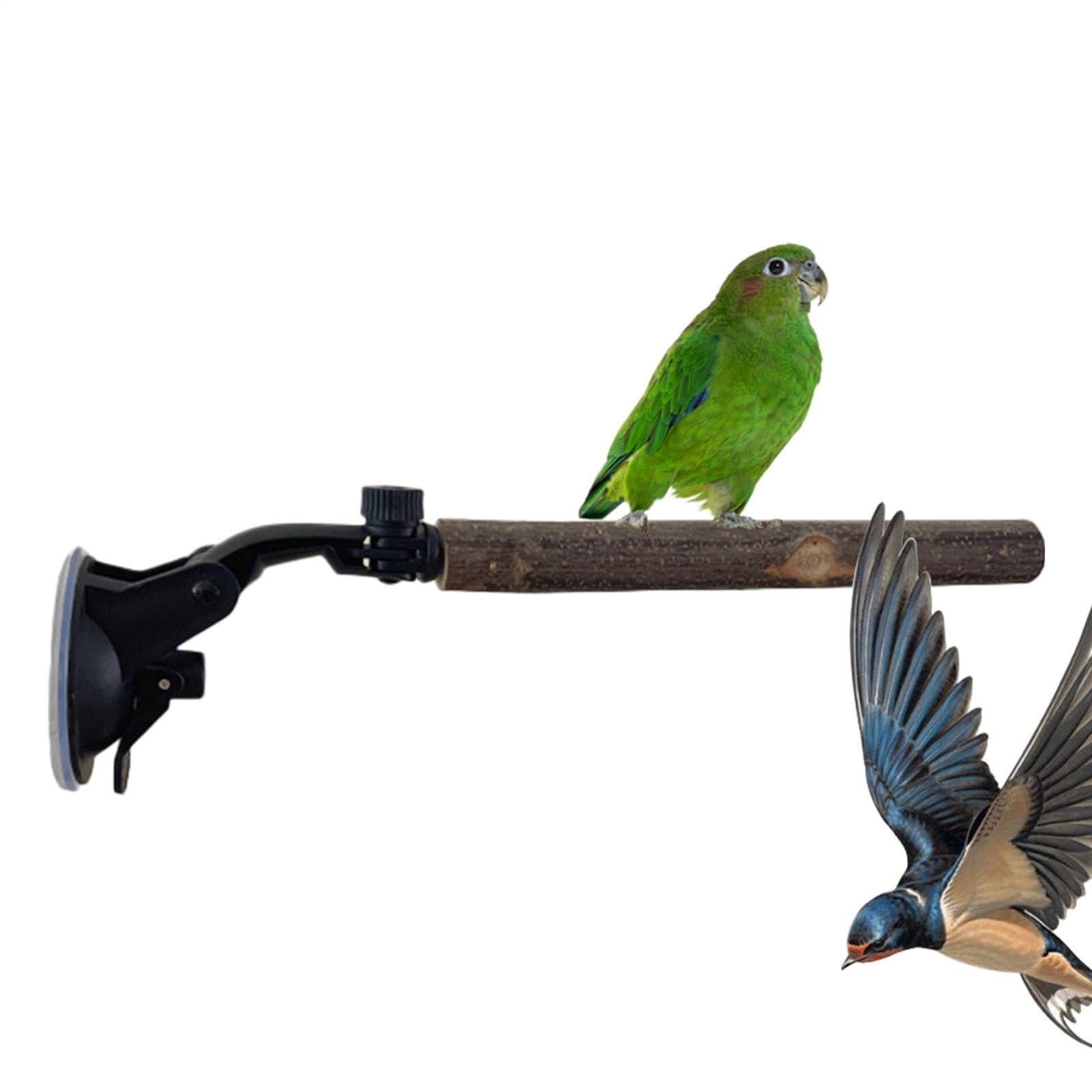 Window Perch for Birds - Movable Suction Cup Parrot Stand, Interactive Window Bird Training Bar, Heavy Duty Vertical Glass Mount Perch, Portable Grooming and Play Area, Avian Habitat Accessory