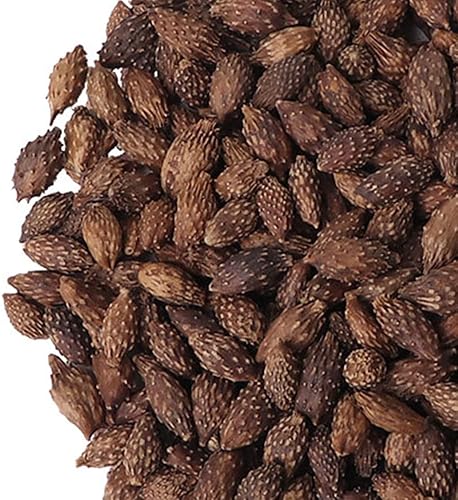 Miniatura 2 de Hierbas secas secas naturales orgánicas a granel (Xanthium Strumarium) - 10.58 onzas (10.58 oz)