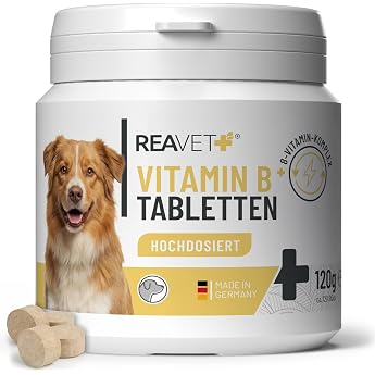 ReaVET Vitamin B Komplex f r Hunde   120 Tabletten hochdosiert I 8-Fach B-Vitamine B1 B2 B3 B5 B6 B7 B9 B12 unterst tzt Energiestoffwechsel Normale Nervenfunktion & Fell