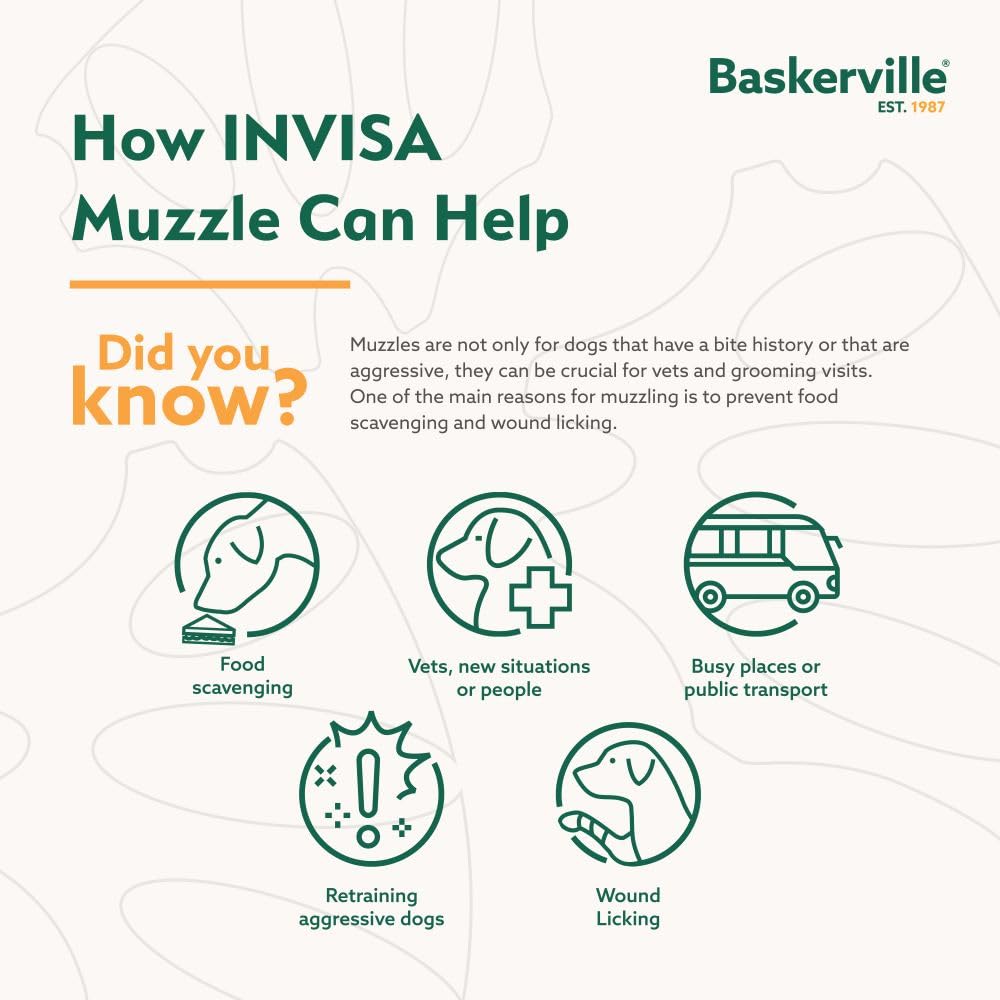 Baskerville INVISA Kaganiec koszykowy dla psa, opatentowany, ludzki design z widocznością twarzy, wyściełany pasek na nos, spodnie i picie, zapobiega gryzieniu i zmiataniu, kaganiec dla średnich psów