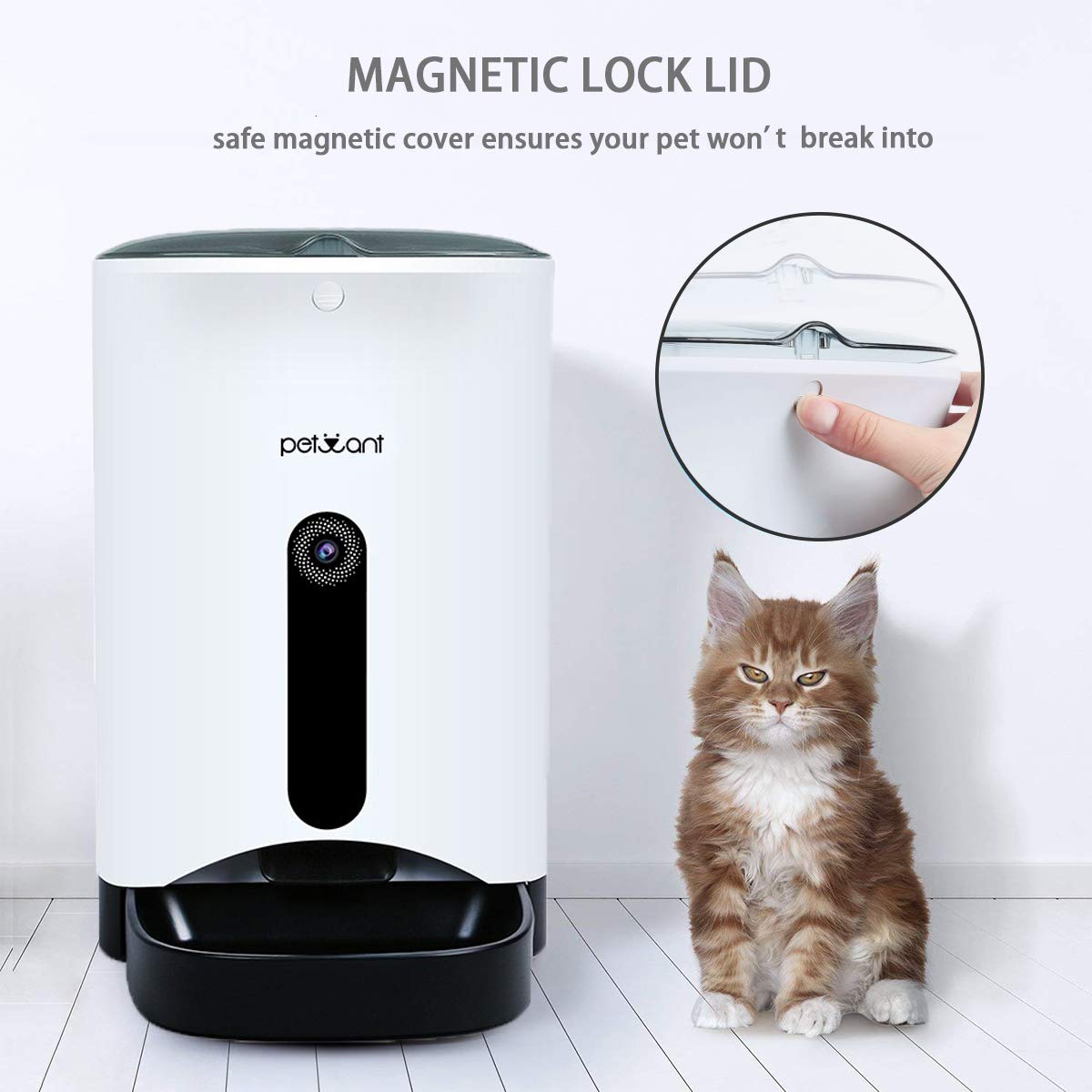 PETCUTE Distributore Automatica per Cani distributore di Cibo per Gatto mangiatoia Automatica per Cani Programmazione Registra Voce Timer Digitale 4.3L