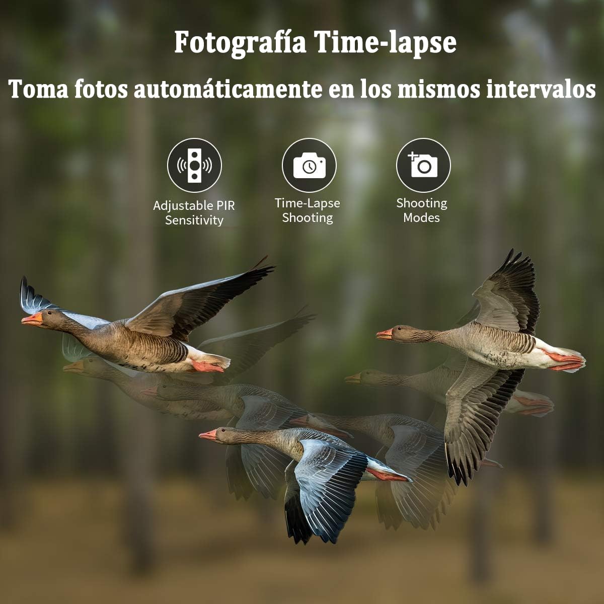 Camara Caza 50MP 4K, Camara Fototrampeo con Sensor de Movimiento, Cámara de Caza Nocturna Impermeable IP65, Visión Nocturna hasta 25m, Micro SD 32GB (HC808A)