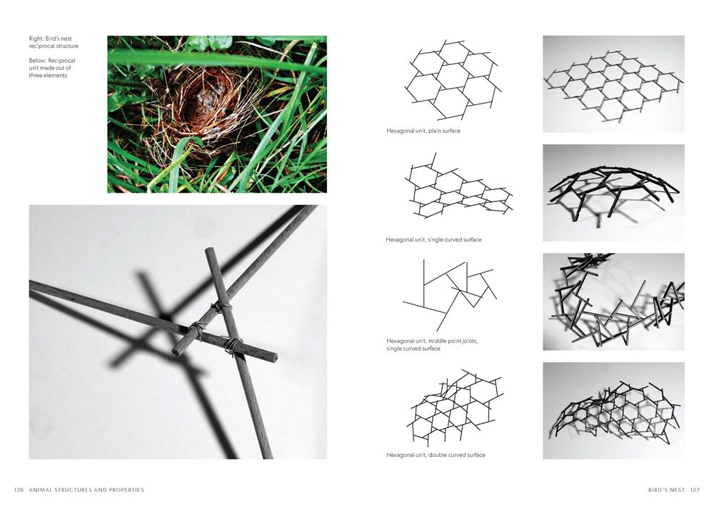 Biomorphic Structures: Architecture Inspired by Nature