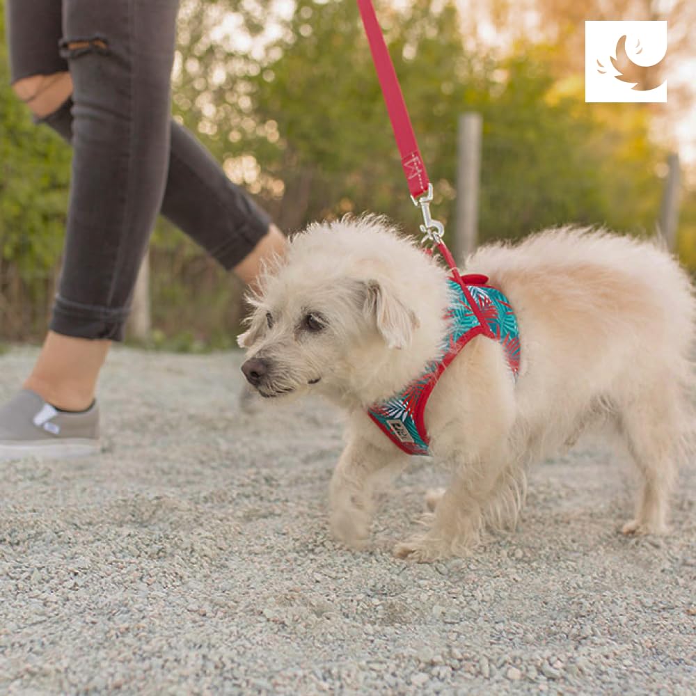 RC Pets Step in Cirque Arnés para perros | Pequeño, Laberinto