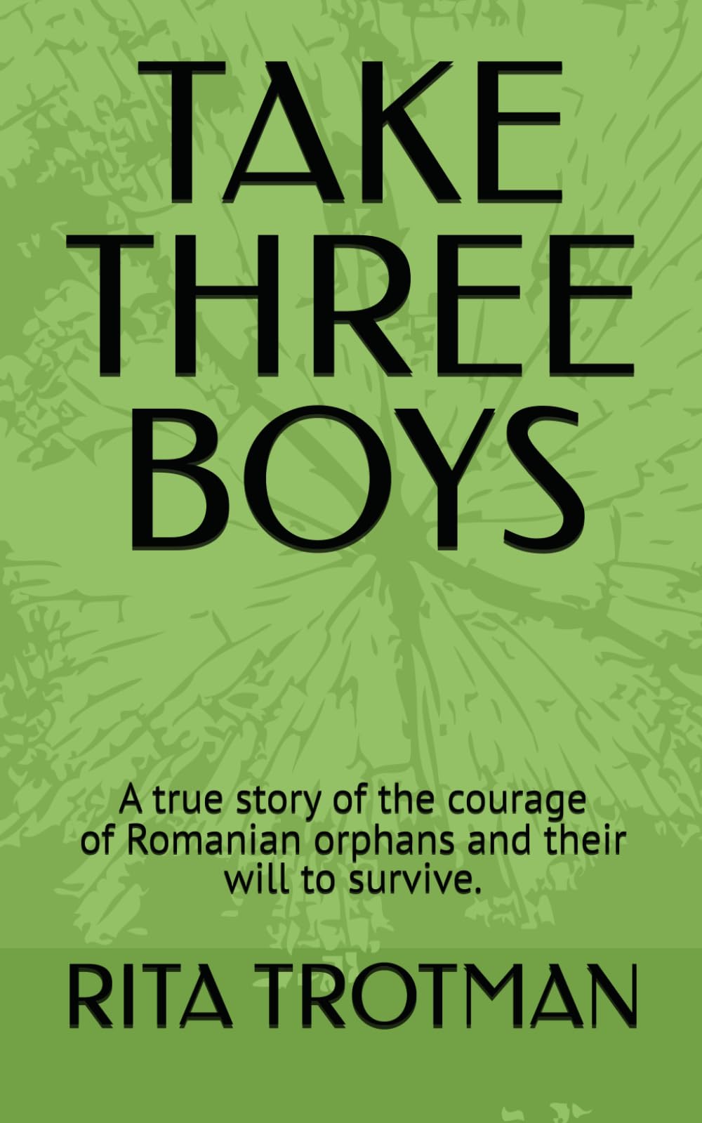 TAKE THREE BOYS: Courage, survival and a new life for Romanian orphans
