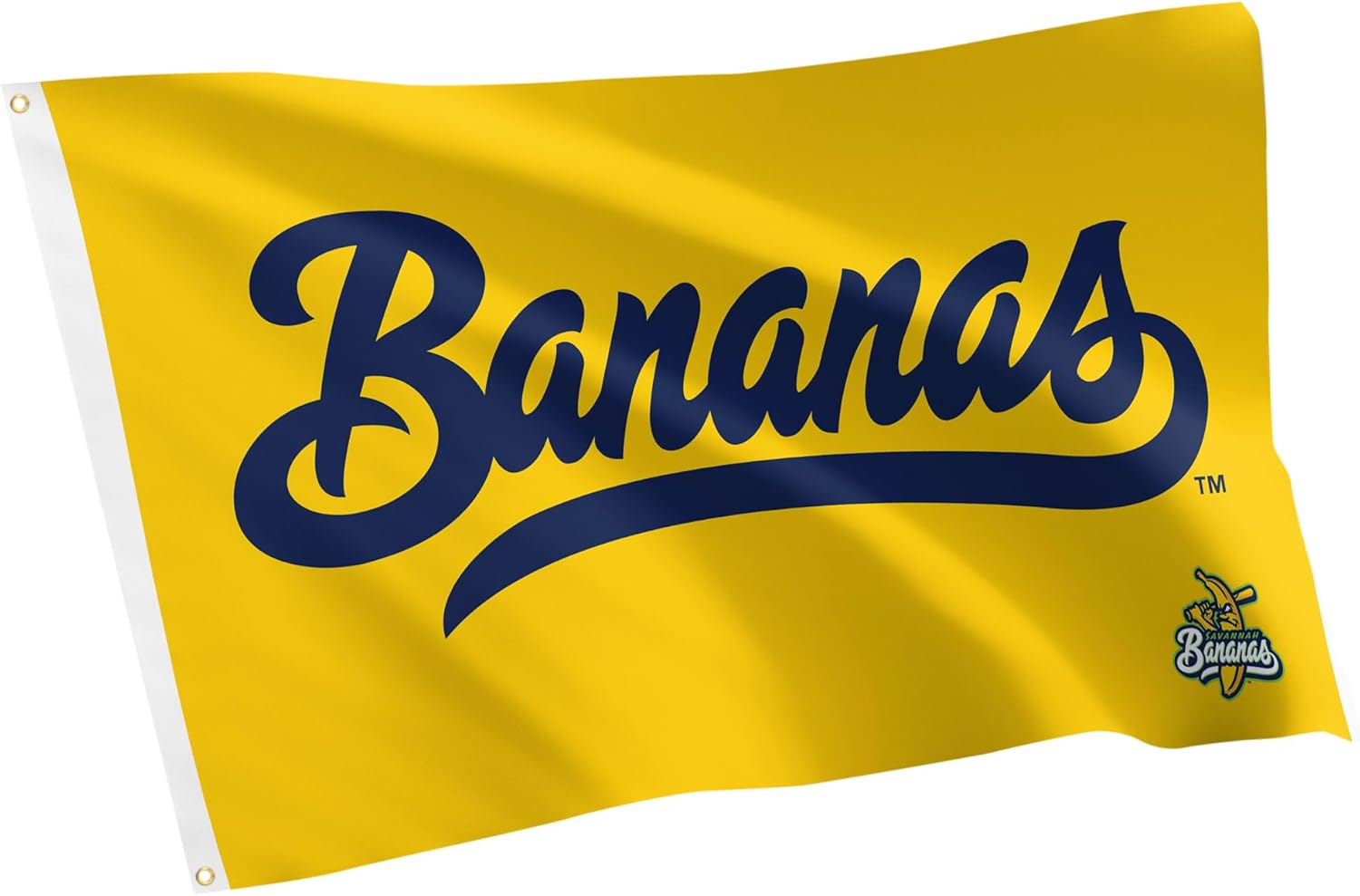 Desert Cactus Savannah Bananas Baseball Flag 100% Polyester Indoor Outdoor 3x5 feet Team Flags (Flag G)