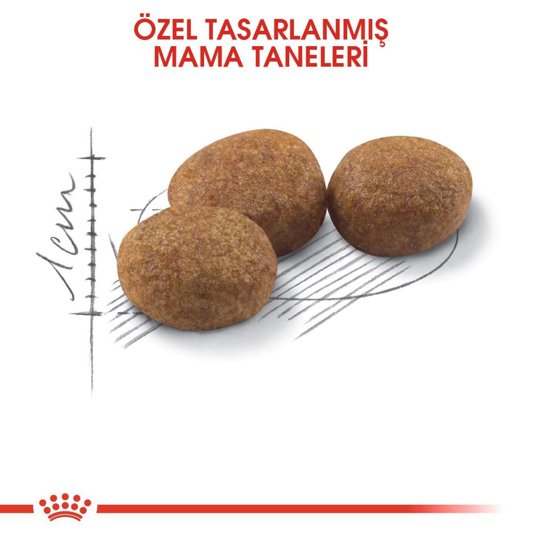 Royal Canin Alimento para Gatos Sterilised 37-2 kg