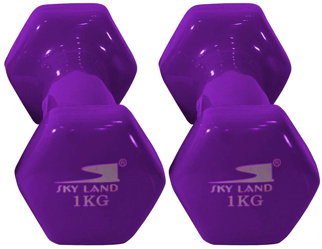 SKY LAND Dumbbells Set of 2 Hand Weights 1KG Each, Vinyl Coated Non-Slip Dumbbells for Strength Training, Aerobics, Pilates & Home Gym Workouts, Hex Shape Anti-Roll Fitness Equipment EM-9219-1 Purple