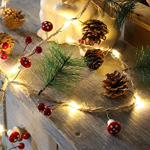 TopHGC Decorazione natalizia con luci a LED, 2 m