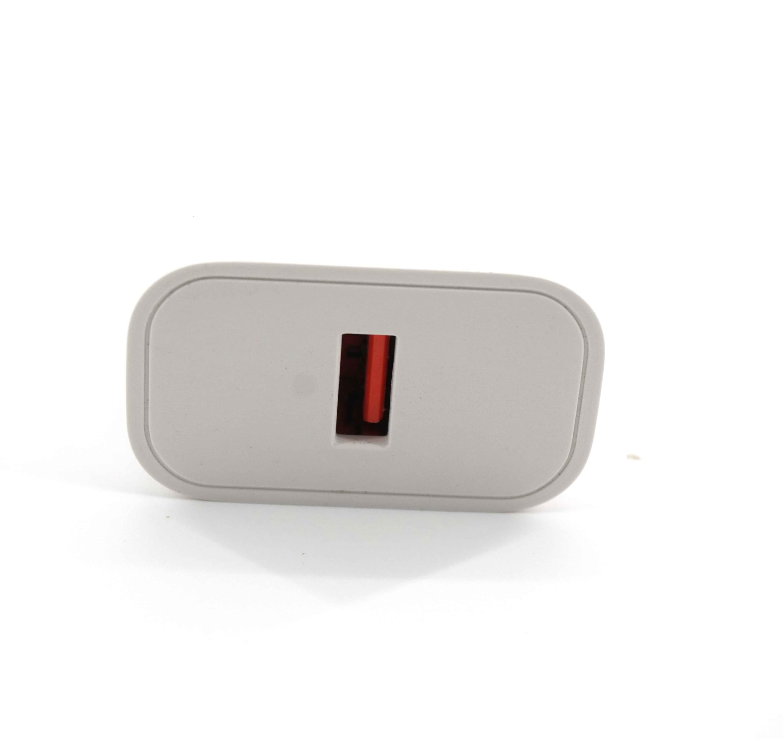 Amazon.co.jp: RGTUONT 交換する充電器歯ブラシUSBパワー