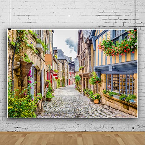 CSFOTO 3x2,5m Italien Alt Gasse Hintergrund Europäisch Alt Gebäude Weg Friedlich Stadt Feder Blüte Fotografie… – Bild 3