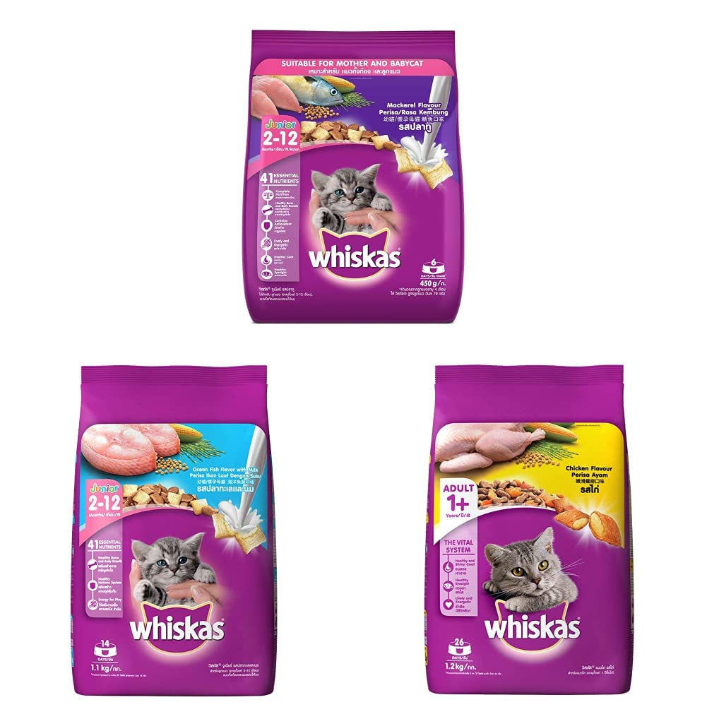 Whiskas Kitten (212 Months) Dry Cat Food, Mackerel Flavour, 450g Pack
