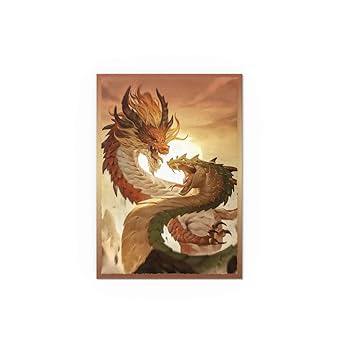 ドラゴン スリーブ  49枚 ドラゴン スリーブ 49枚 ドラゴン スリーブ 49枚