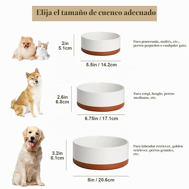 Foto 2 de 8 de MALACASA Cuencos para perros, cuencos de cerámica para comida y agua para perros de tamaño pequeño