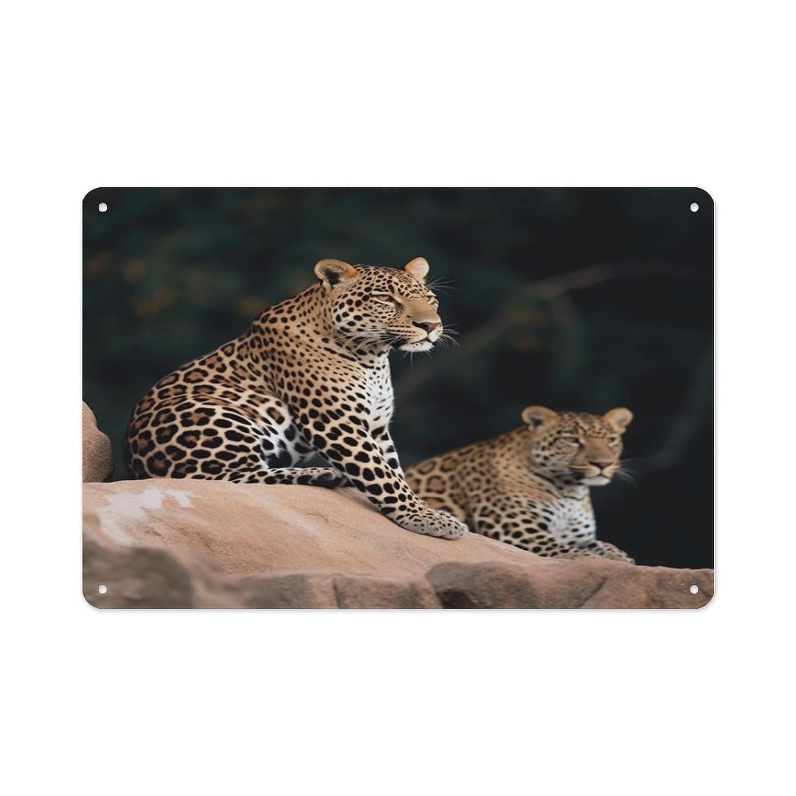 VstaDank Vintage Metal Sign Sublimation Aluminum African Leopard on Rock Plaque Sign Weatherproof Art Decorative Wall Plate Boho Aluminum Wall Hanging Decor Retro Poster Plaque 8x12in