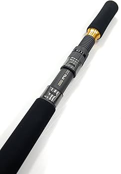 Amazon | MC works/MCワークス DAZZLER DZ821LFR 