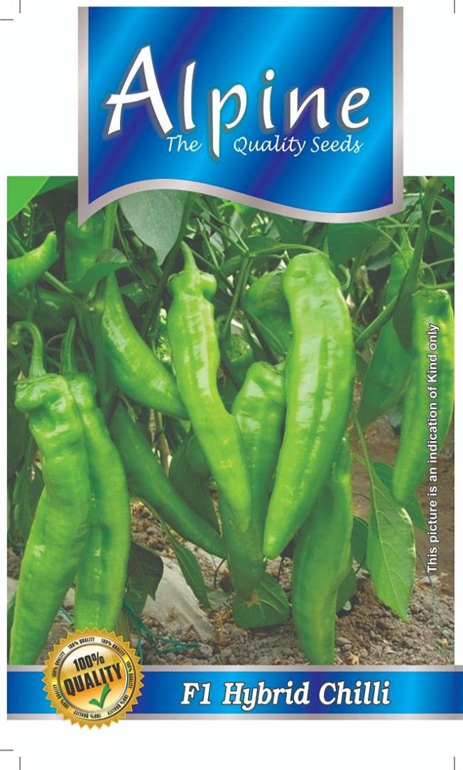 Alpine F1 Hybrid Green Chilli (100 seeds/Packet) (B09FLZ5N6T) Amazon Price History, Amazon Price Tracker