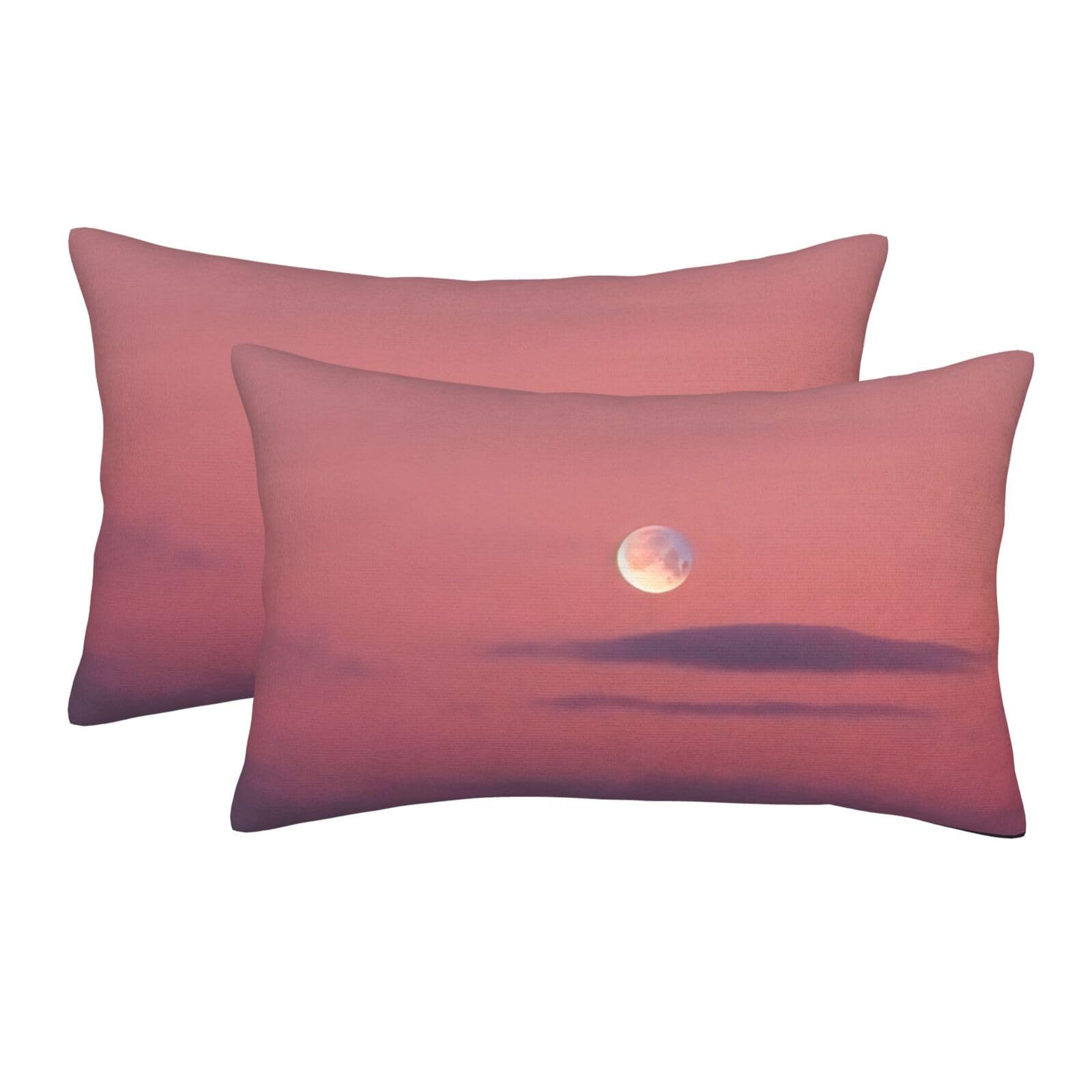 2 Pack Standard Size Pillow Cases for Hair and Skin Soft Breathable Pillow Case Covers with Hidden Zipper Sky and Moon Pillowcase 16"x24" Pillow Cover for Sleeping Gift