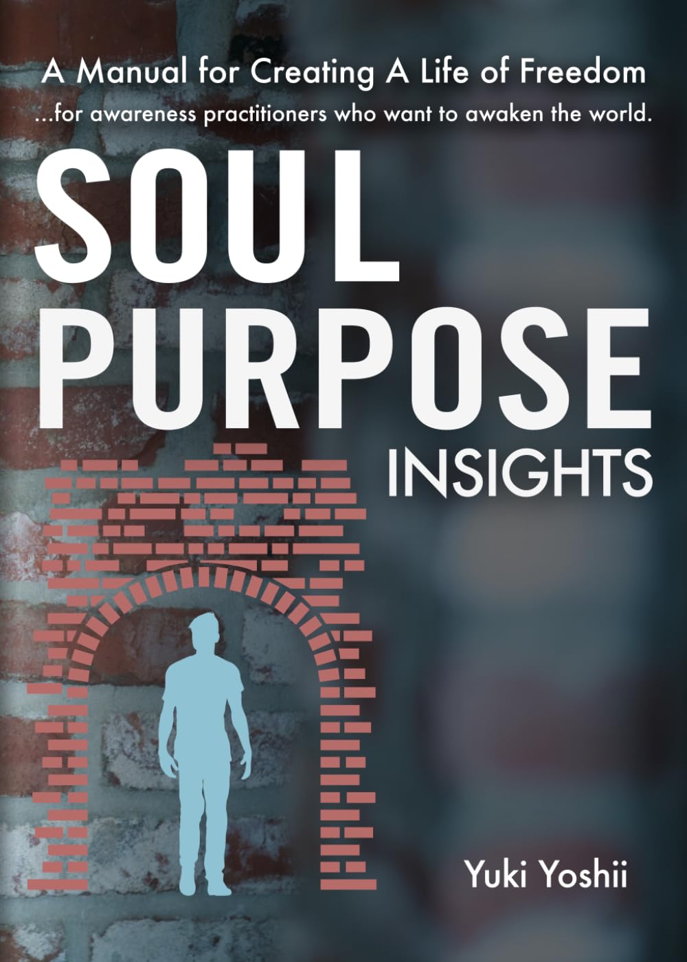 Soul Purpose Insights