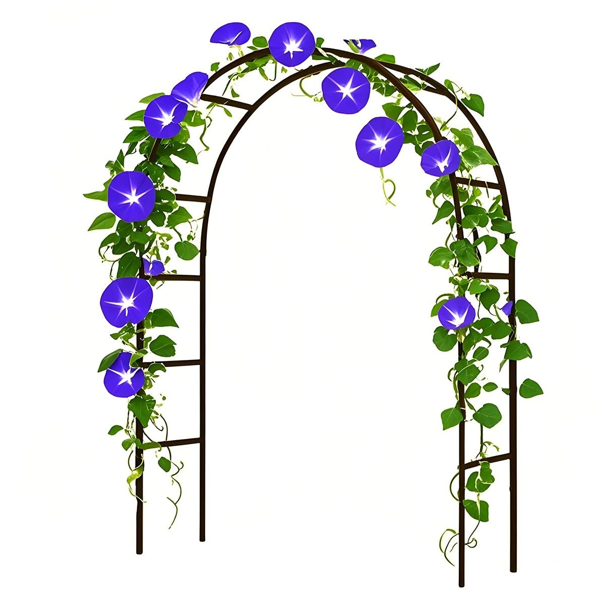 Arche de jardin en métal noir l0,8xH2m pour plantes grimpantes