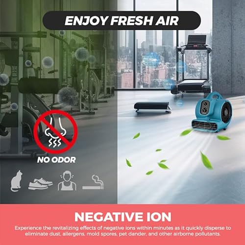 XPower Mighty Centrifugal Air Mover, Carpet Dryer, Floor Fan, Blower, Stackable, Daisy Chain, for Water Damage Restoration, Janitorial, Plumbing, Home Use (Blau, P-250NT 700CFM)