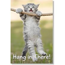 HEARTLAND Hang in There Cat   12x18