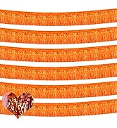6 Pack 10 Feet Foil Fringe Garland Metallic Tassle Banner Wall Hanging Tinsel Streamers Backdrop ...