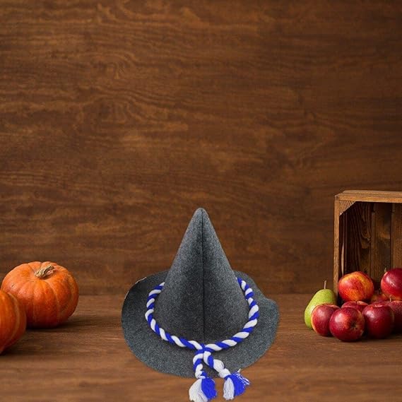 Chapeau Traditionnel Pour La Fête De La Bière - Unisexe - En Feutre De Laine - Pour La Danse, Les Fêtes, Les Effets Décoratifs - Pour Fête De La Bière, Café, Taille Unique