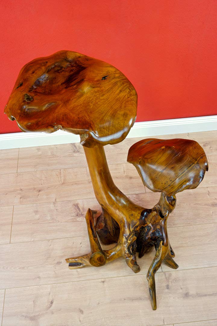 Kinaree 2er Wurzelholz Skulptur Pilz aus Teakholz ca. 45-55 cm – Handgefertigte Holz Skulptur als Garten- & Wohndeko – Massivholz Unikat aus Indonesien