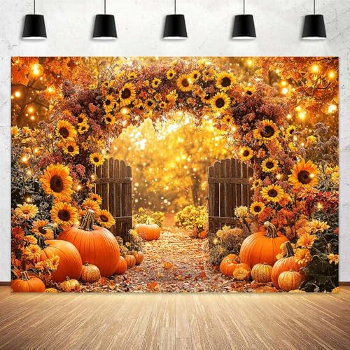 Fournitures de fête de Thanksgiving et grand fond photo ferme d'automne pour souvenirs