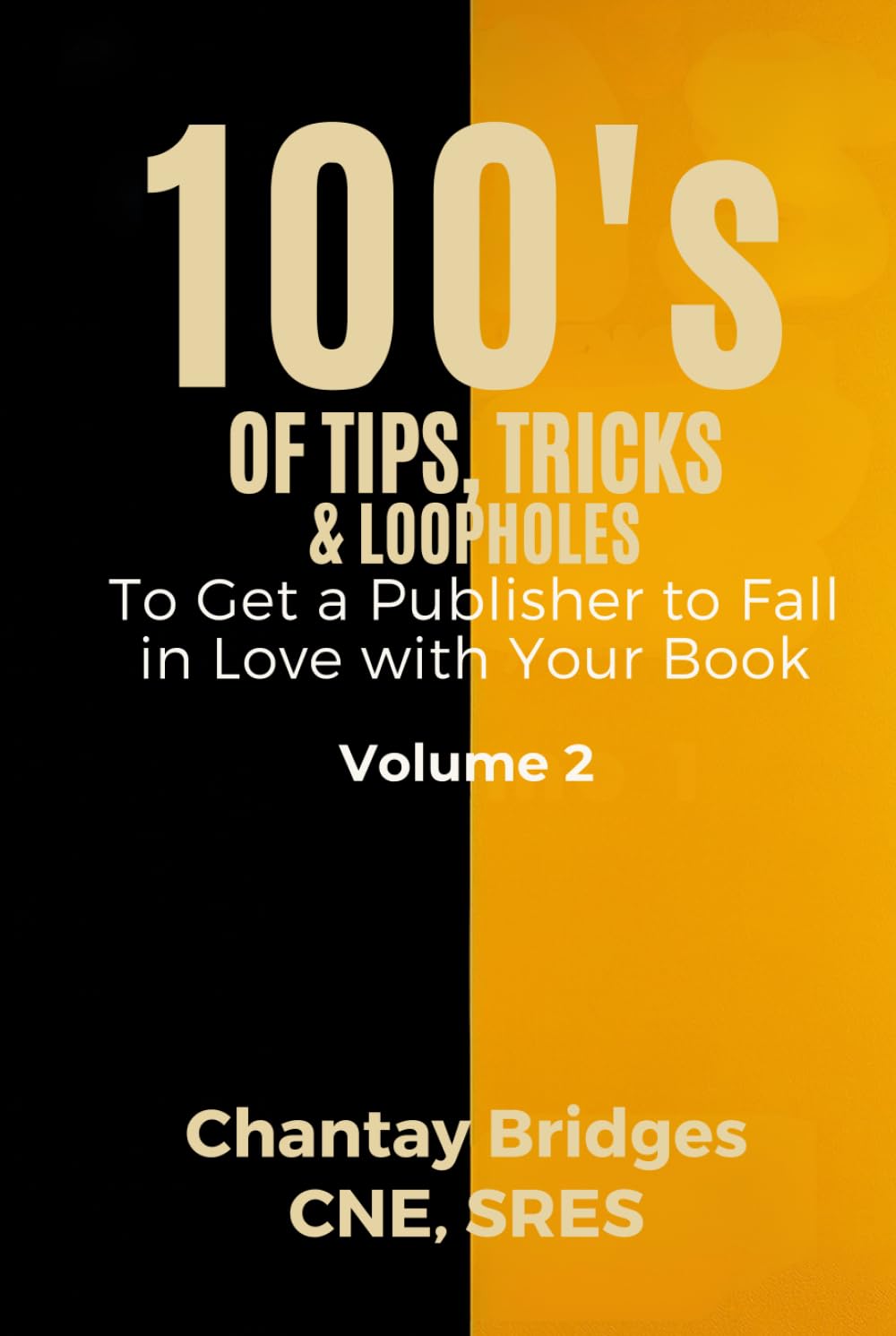 100’S OF TIPS, TRICKS & LOOPHOLES: To Get a Publisher to Fall in Love With Your Book! Volume 2