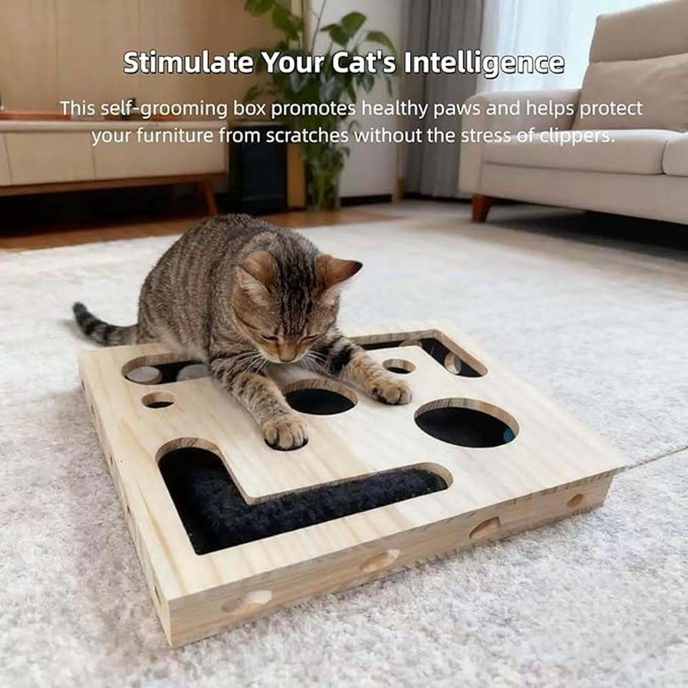 Lima per Unghie per Gatti Insieme a Un Puzzle di Snack per Gatti