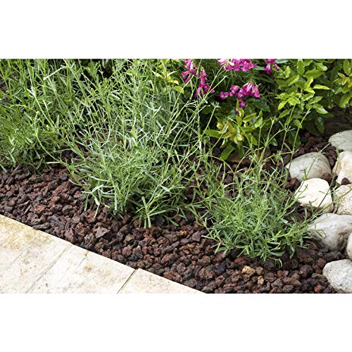 R'garden | Pouzzolane | Pouzzolane arbustes, conifère, Vivace, Plante d'intérieur | Réduit Les arrosages | Facilite Le Drainage Cover