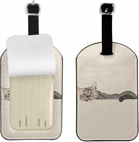 Etiquetas de equipaje con cara de gato, retrato de mascota, lindo animal peludo pintado a mano, etiqueta de identificación con correa y tarjeta de