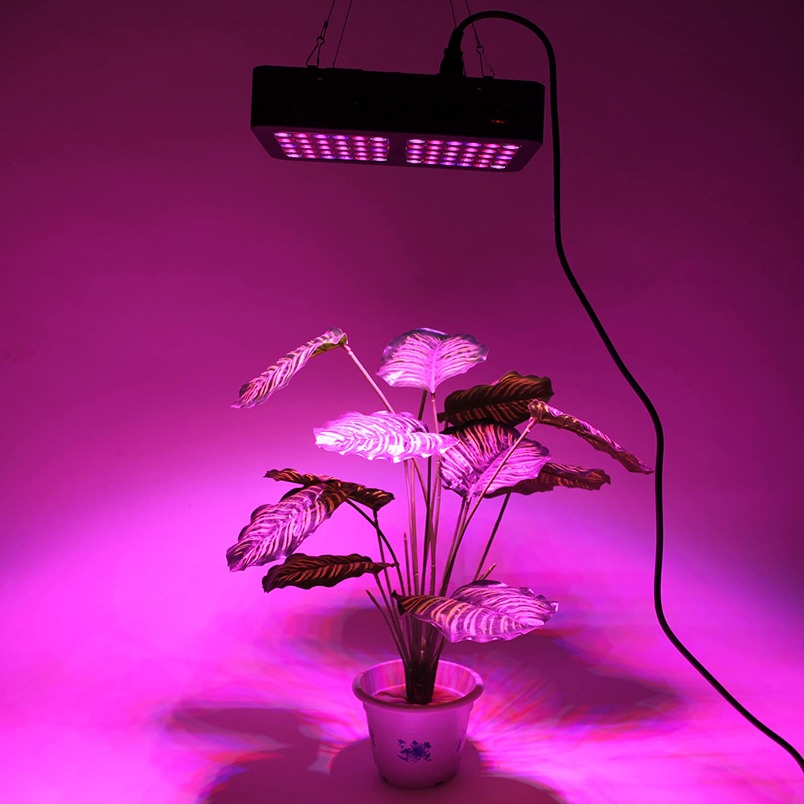 Amazon.co.jp: LED植物成長ライト、600W LEDデュアルオプティカル植物
