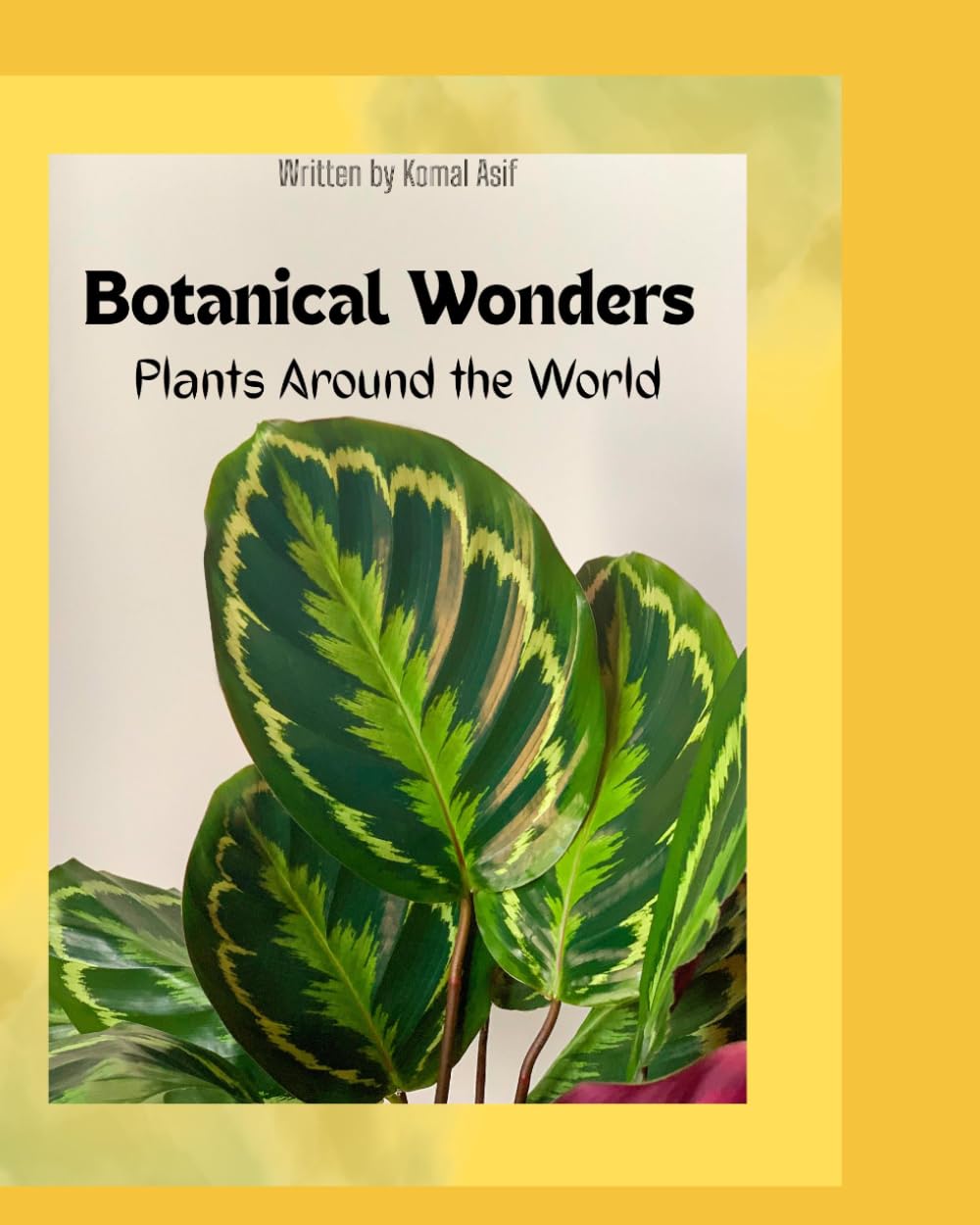 Botanical Wonders: Plants Around The World