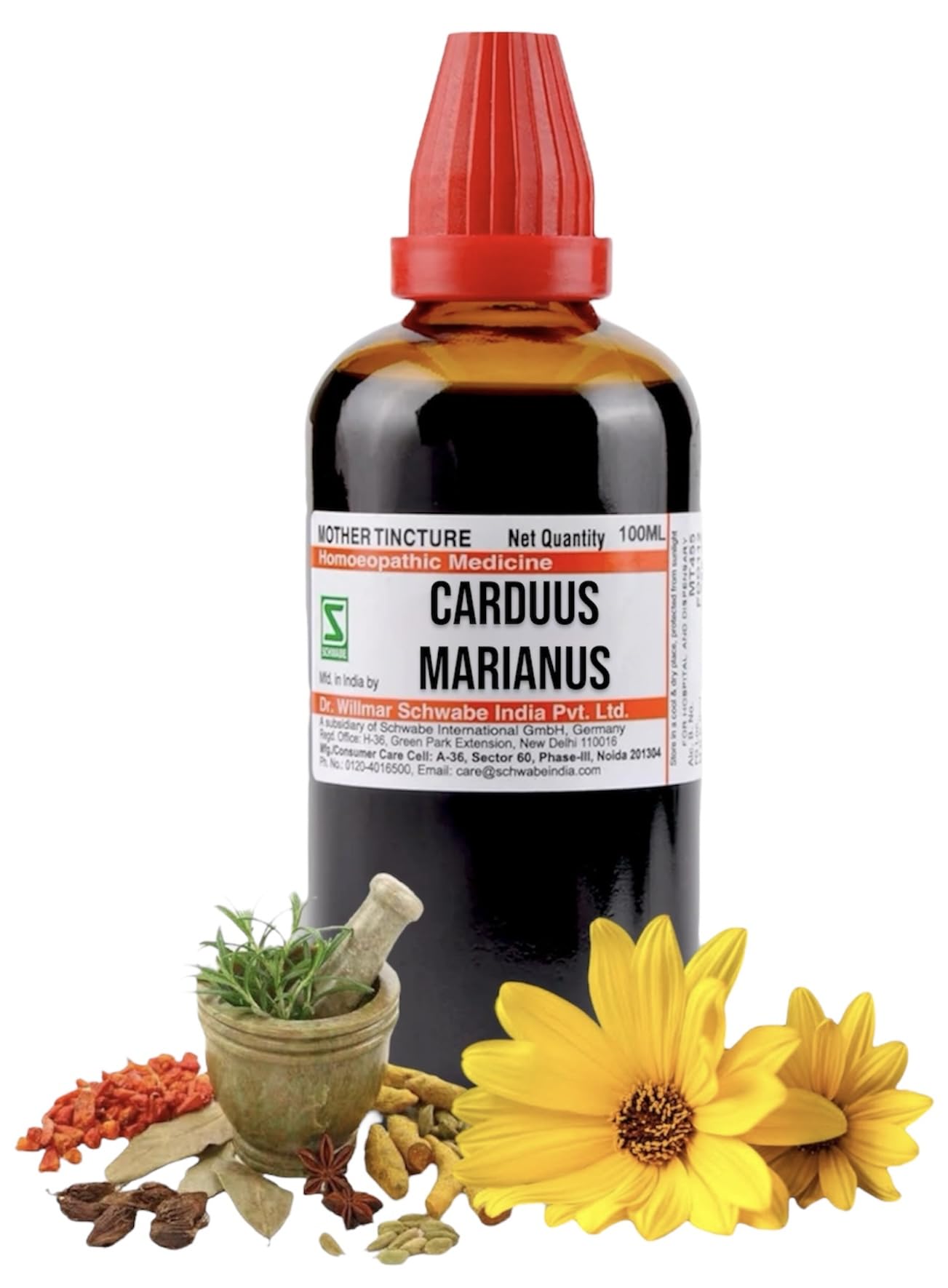 Med-40 Schwabe Carduus Marianus Mother Tincture Q 100ml - Orignal_Extract Homeopathy (B0CWMFF6K6) Amazon Price History, Amazon Price Tracker