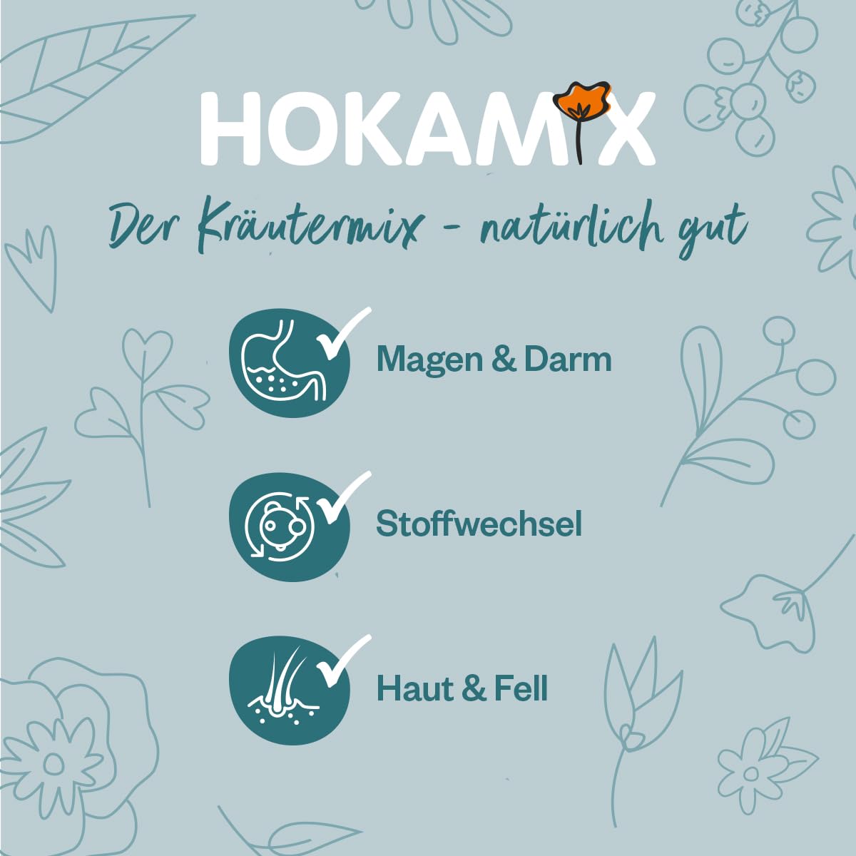 Grau - das Original - GRAU - Hokamix Vitality Booster Snack Maxi Sensitive, 1er Pack (1 x 4,5kg), Ergänzungsfuttermittel für Hunde
