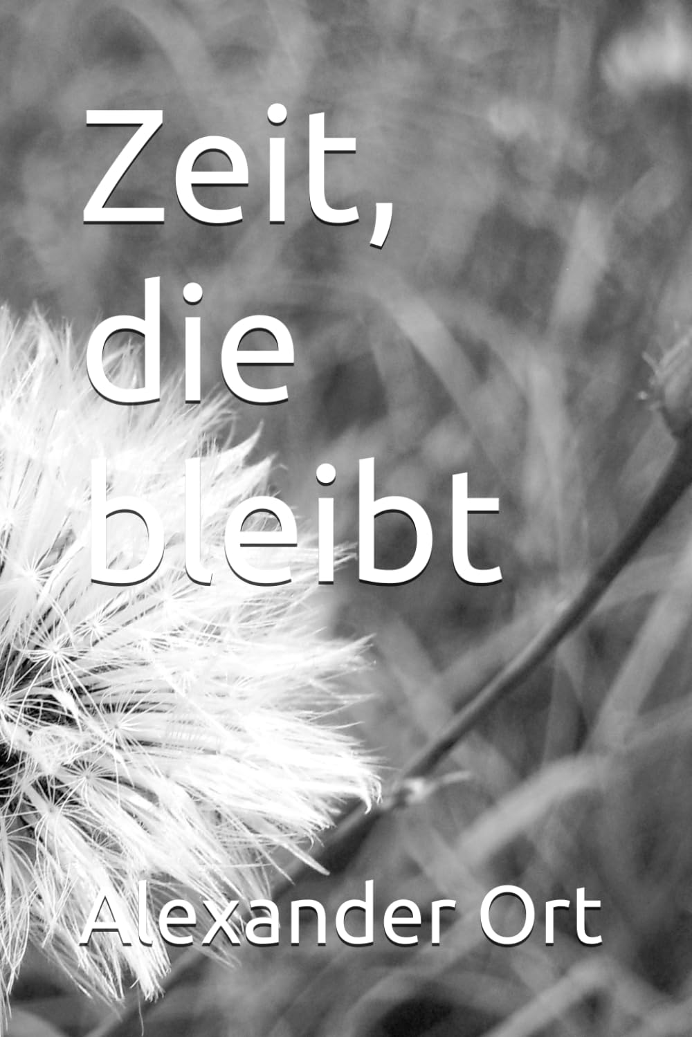 Zeit, die bleibt