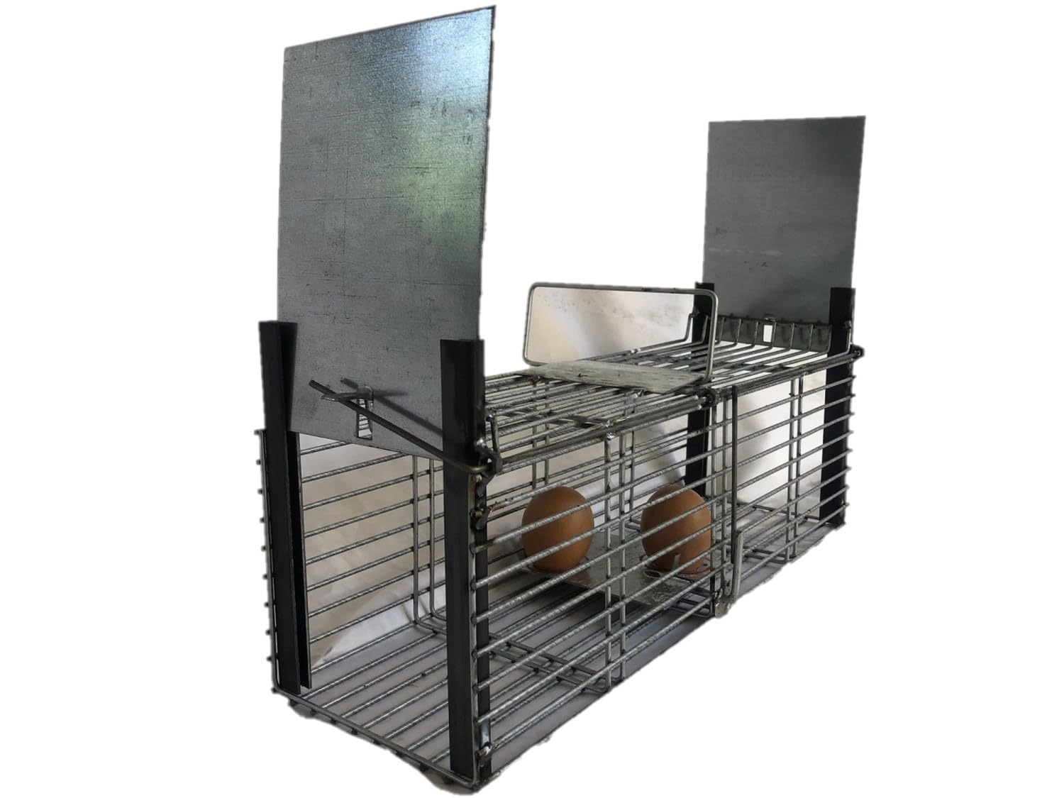 Cage piège Rats mulots