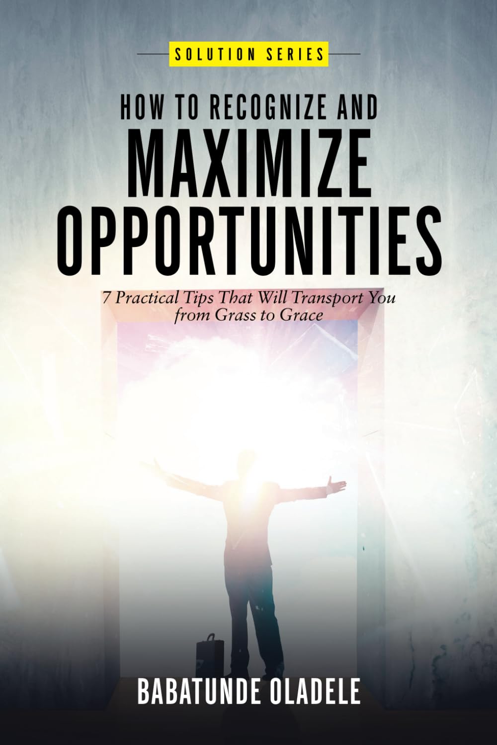 How To Recognize And Maximize Opportunities: 7 Practical Tips That Will Transport You from Grass to Grace (Solution Series)