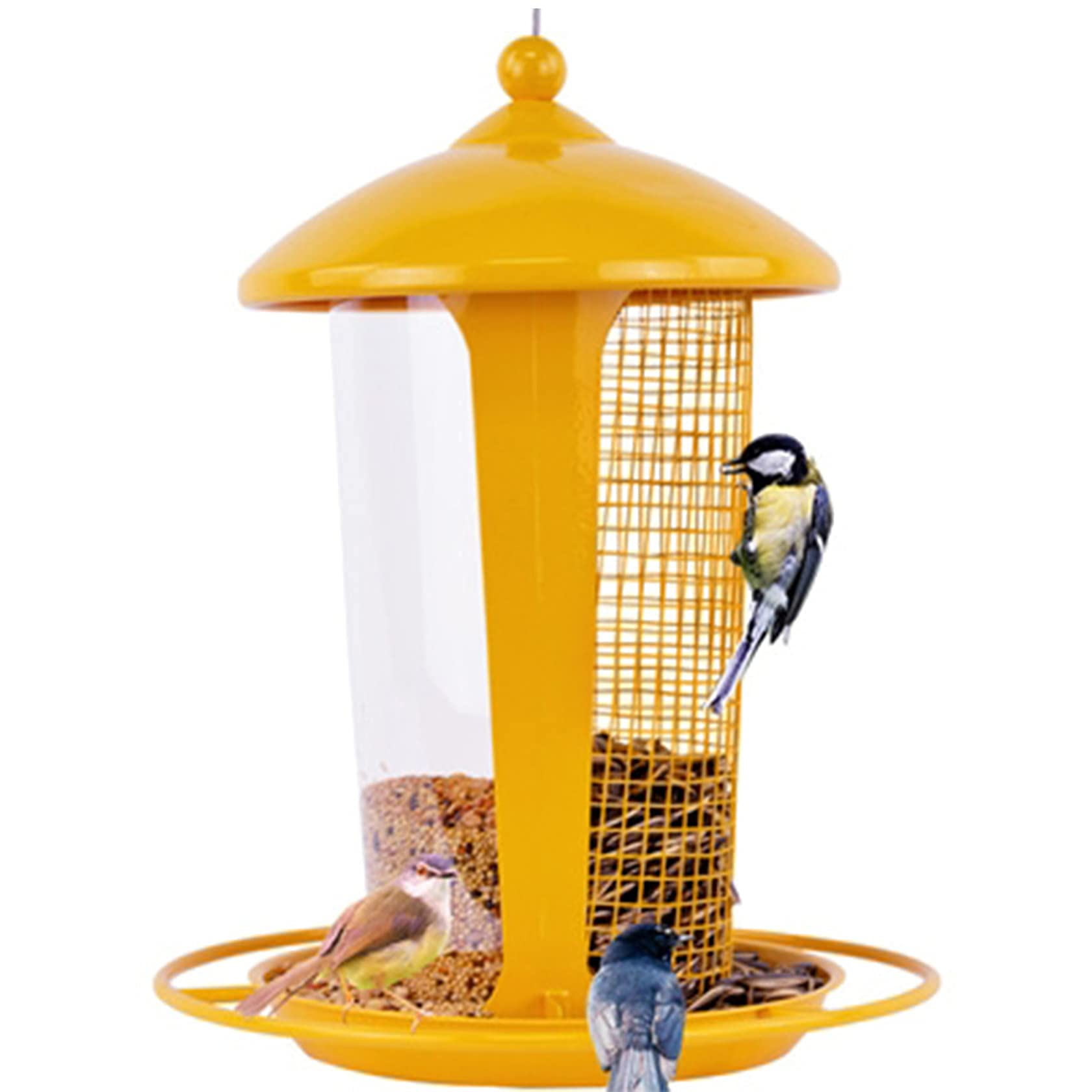Amazon.co.jp: 鳥の餌箱、屋外の自動野鳥の餌箱、パノラマガゼボ鳥の餌